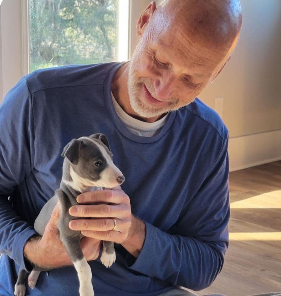 Italian Greyhound Puppies breeder image 11