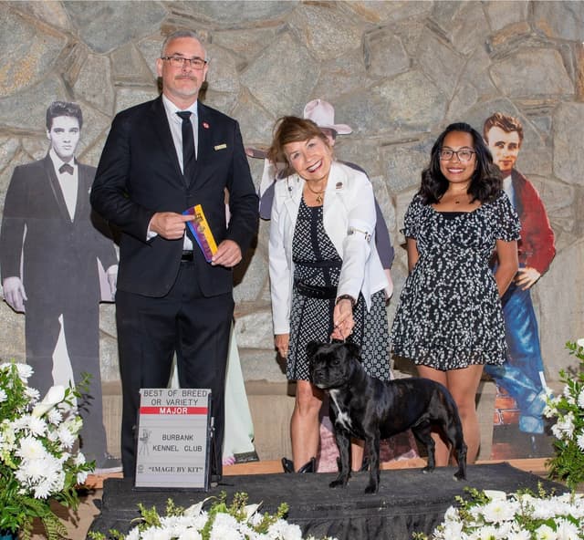 ADORABULL  38+yr EXPERIENCED Silver Achievement Level BREEDER OF MERIT media 23