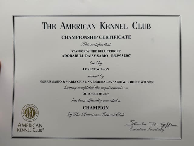 ADORABULL  38+yr EXPERIENCED Silver Achievement Level BREEDER OF MERIT media 26