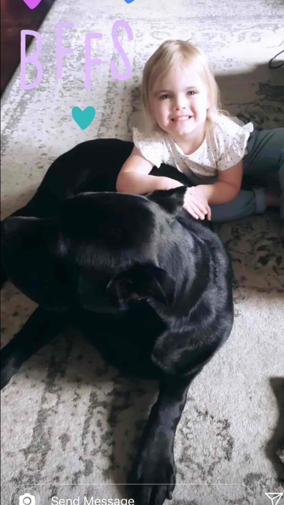 Huge Cane Corso pups breeder image 64