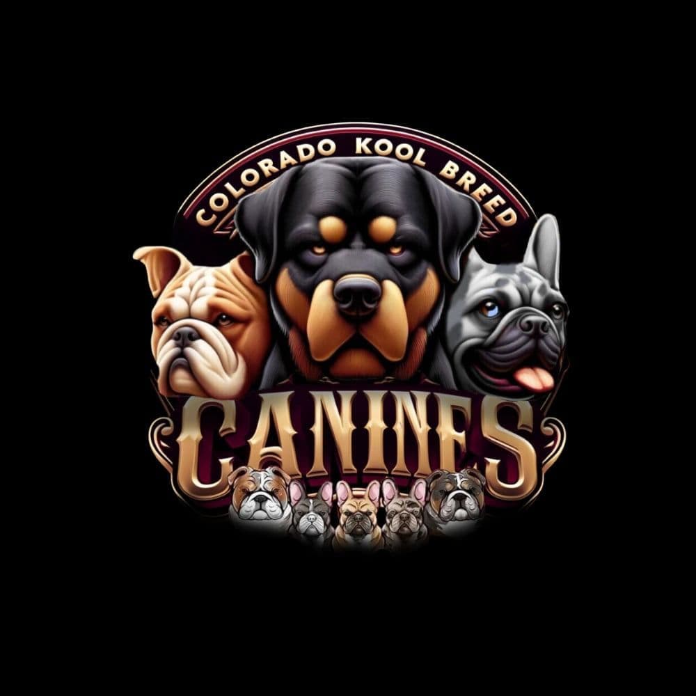 Bulldog Puppies breeder image 1