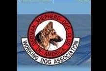 Weizen German Shepherds (Bred With H.E.A.R.T.) breeder image 112