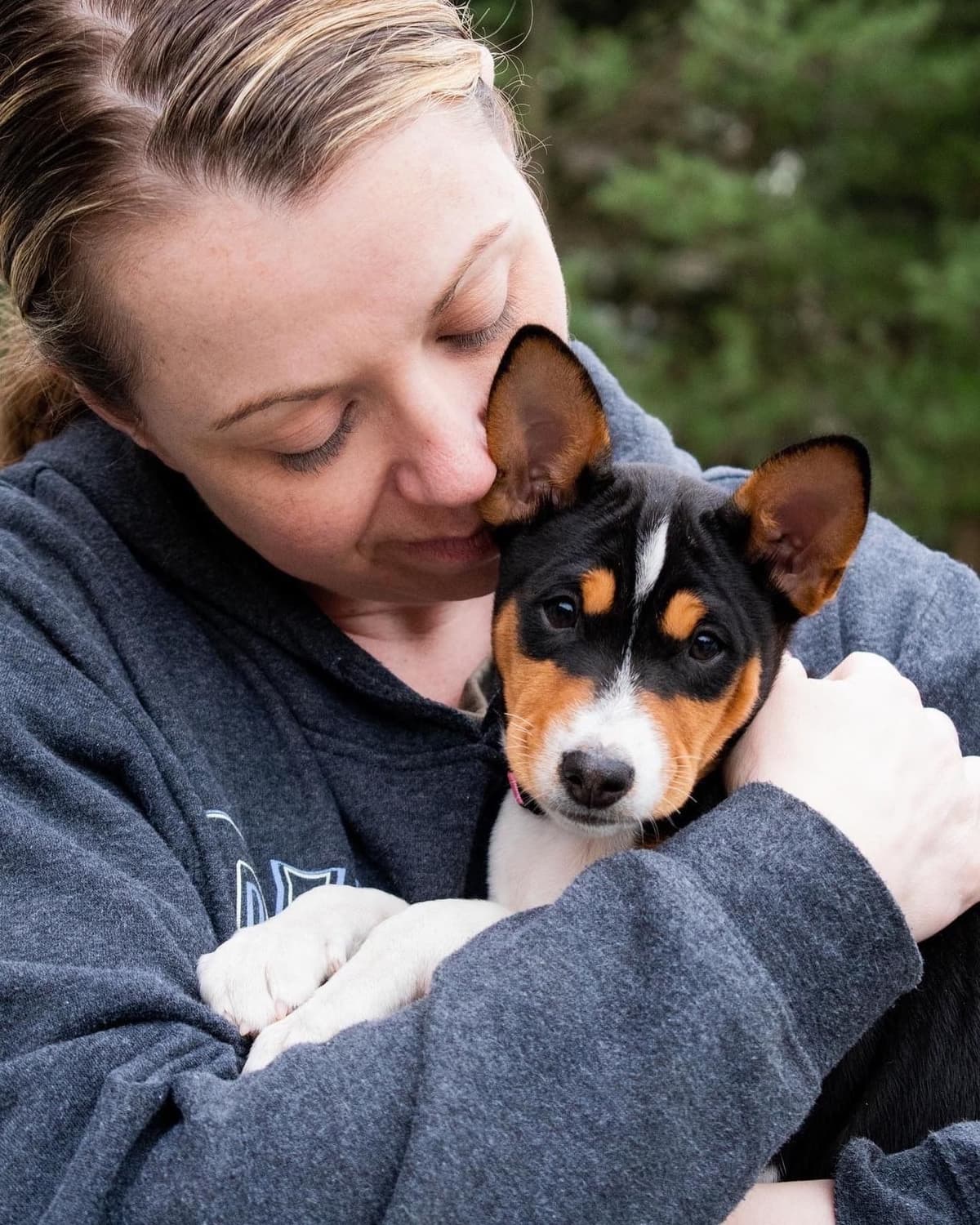 Basenji Puppies breeder image 25