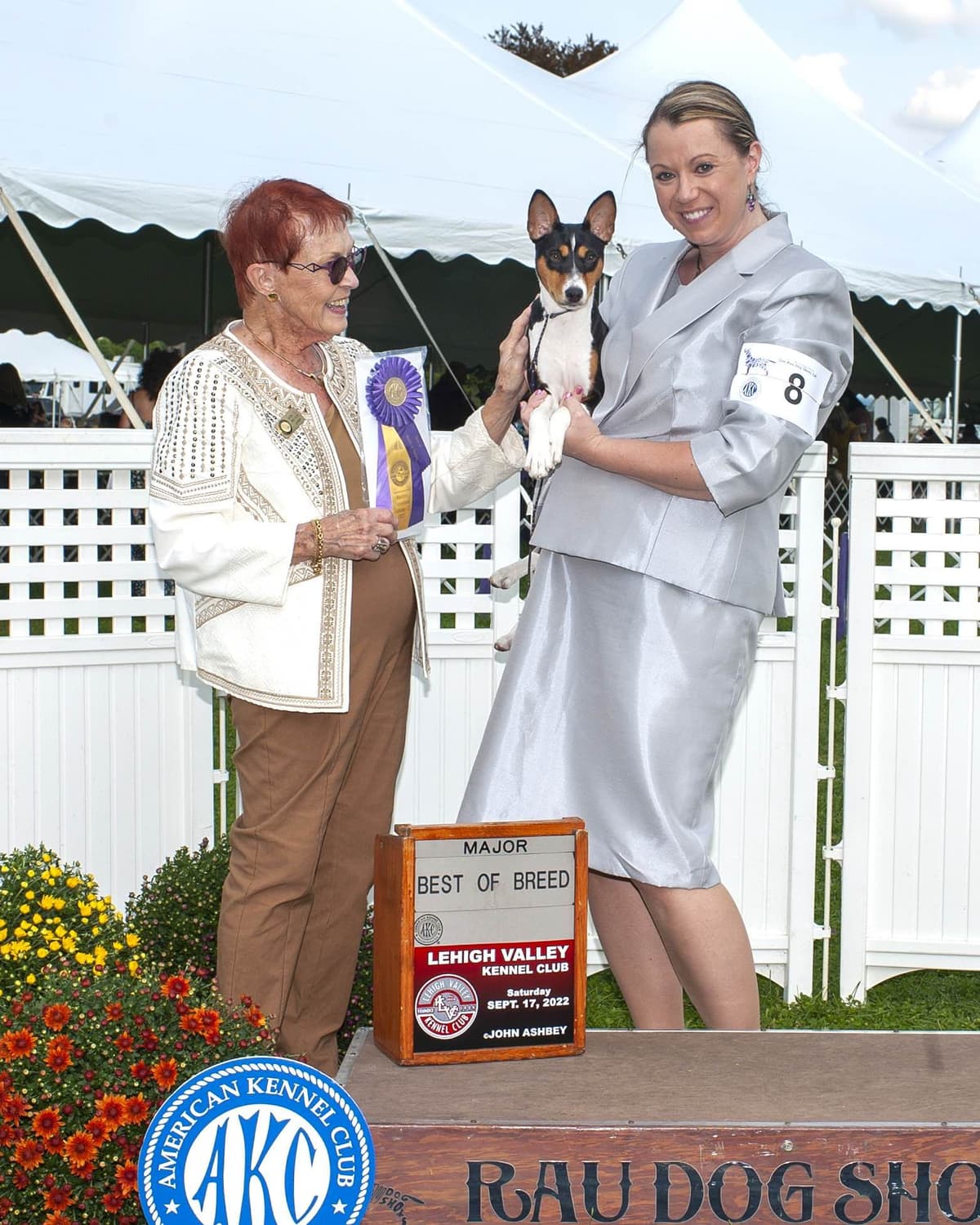 Basenji Puppies breeder image 26