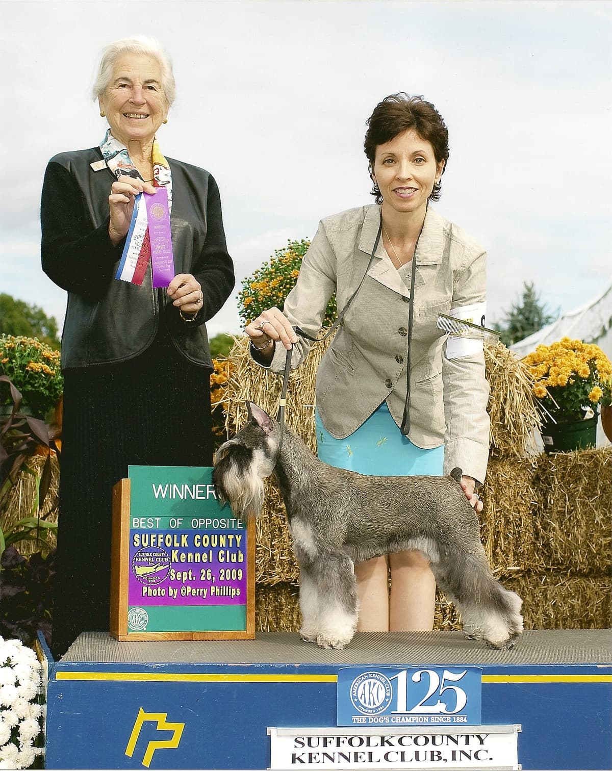 Miniature Schnauzer Puppies breeder image 7