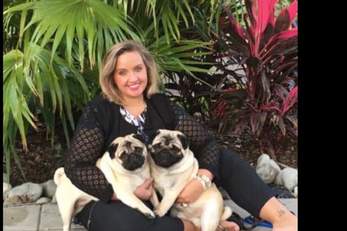 Pug Puppies breeder image 28
