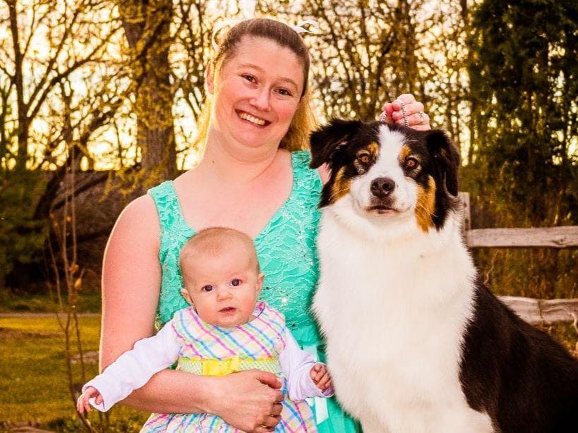 Australian Shepherd Puppies breeder image 7