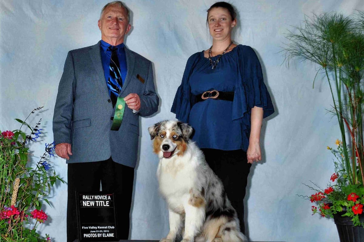 Australian Shepherd Puppies breeder image 10