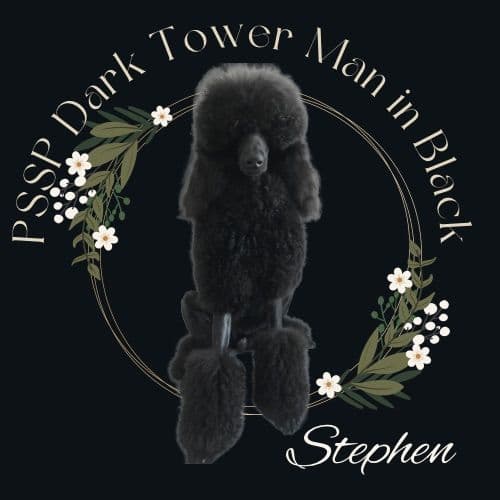 BREEZANHOPE ADULT POODLES media 15