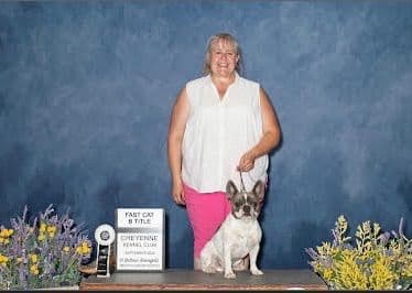 French Bulldog Puppies breeder image 23