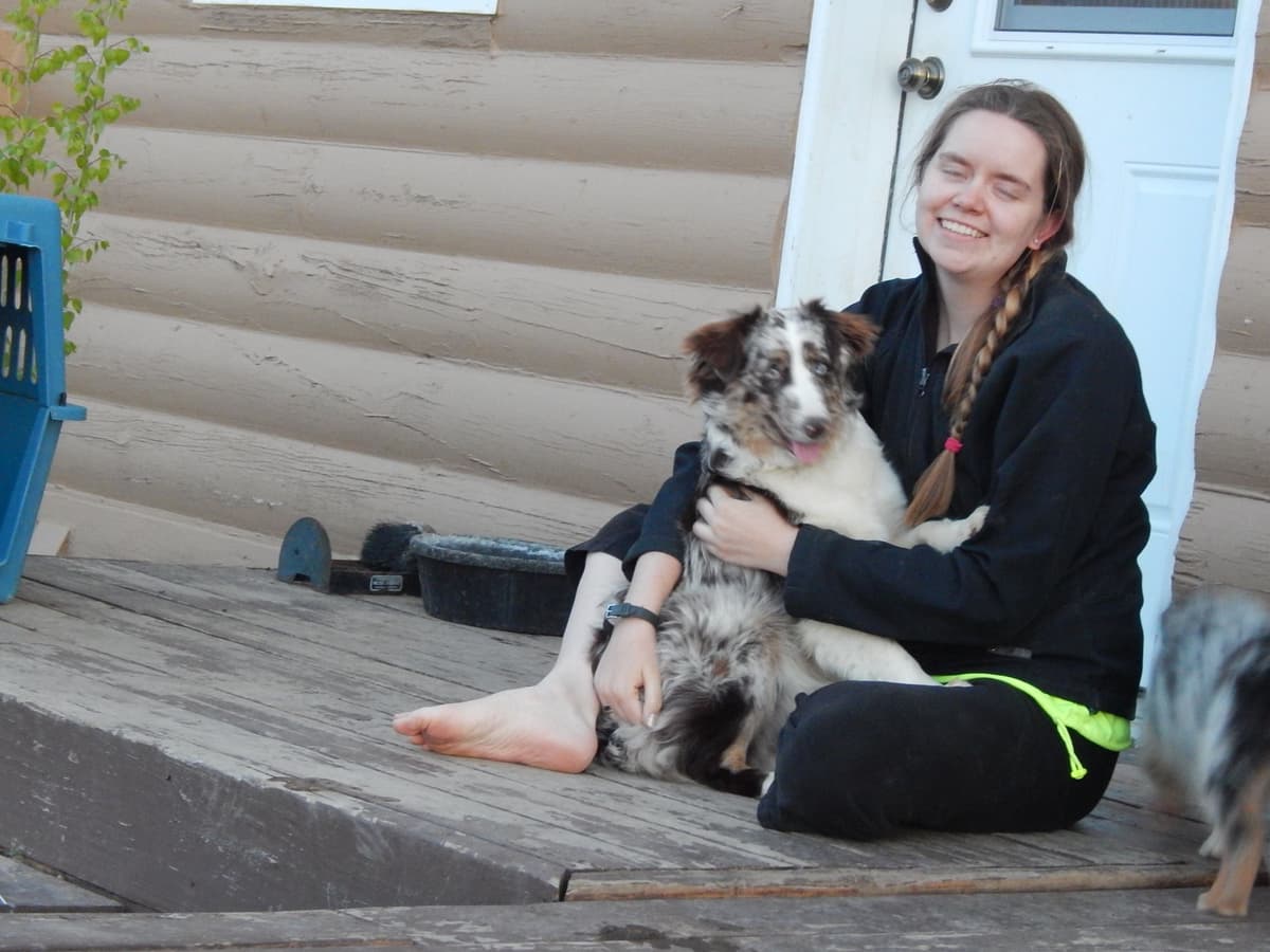 Australian Shepherd Puppies breeder image 10