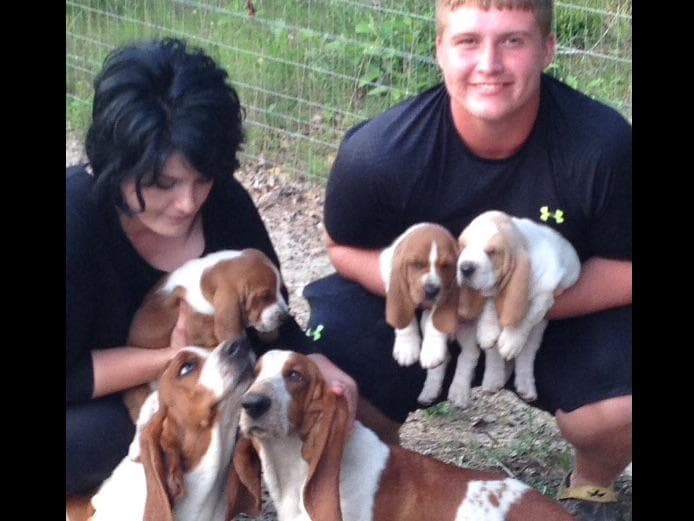TX Basset Hound Puppies breeder image 4