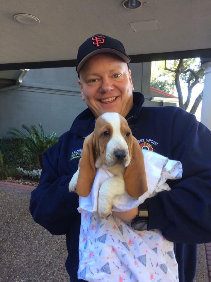 TX Basset Hound Puppies breeder image 7