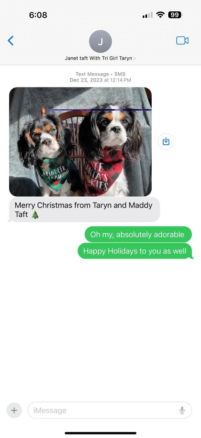 Cavalier King Charles Spaniel Puppies media 7