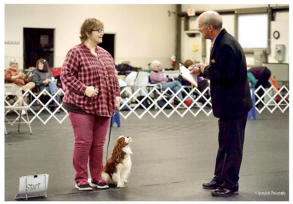 Cavalier King Charles Spaniel Puppies breeder image 5