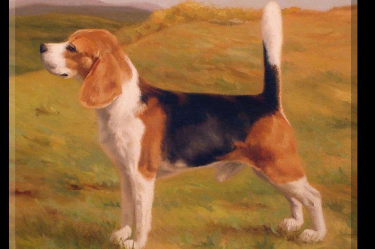 Beowulf Kennel breeder image 3