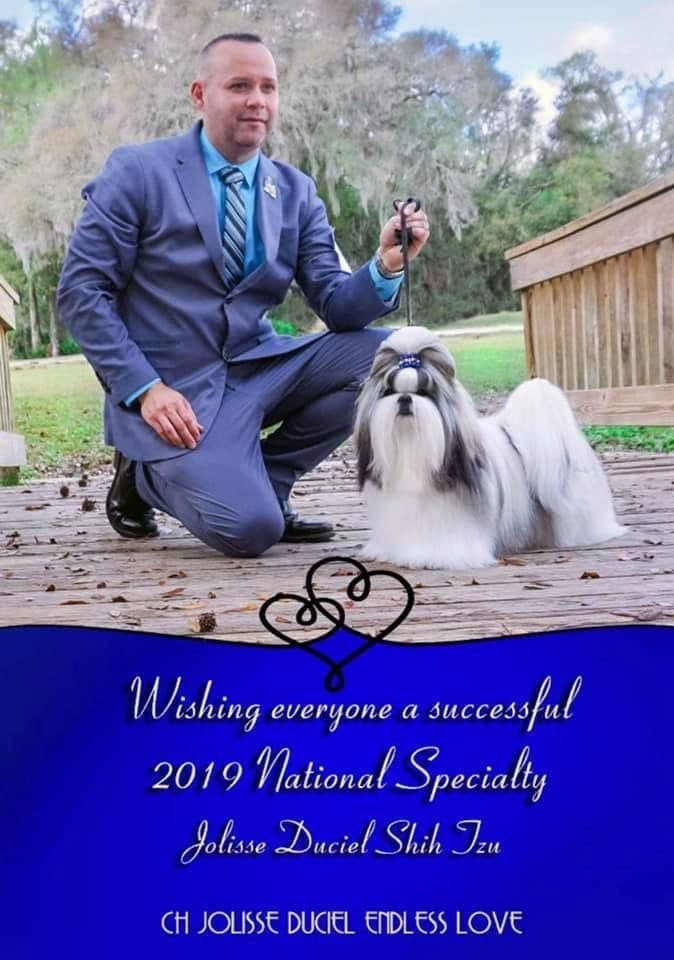 Shih Tzu Puppies breeder image 3