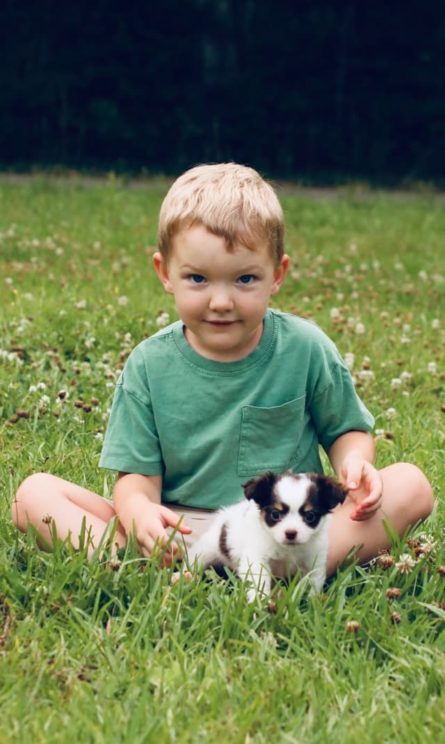One puppy left! Long coat, male black spotted on white media 4
