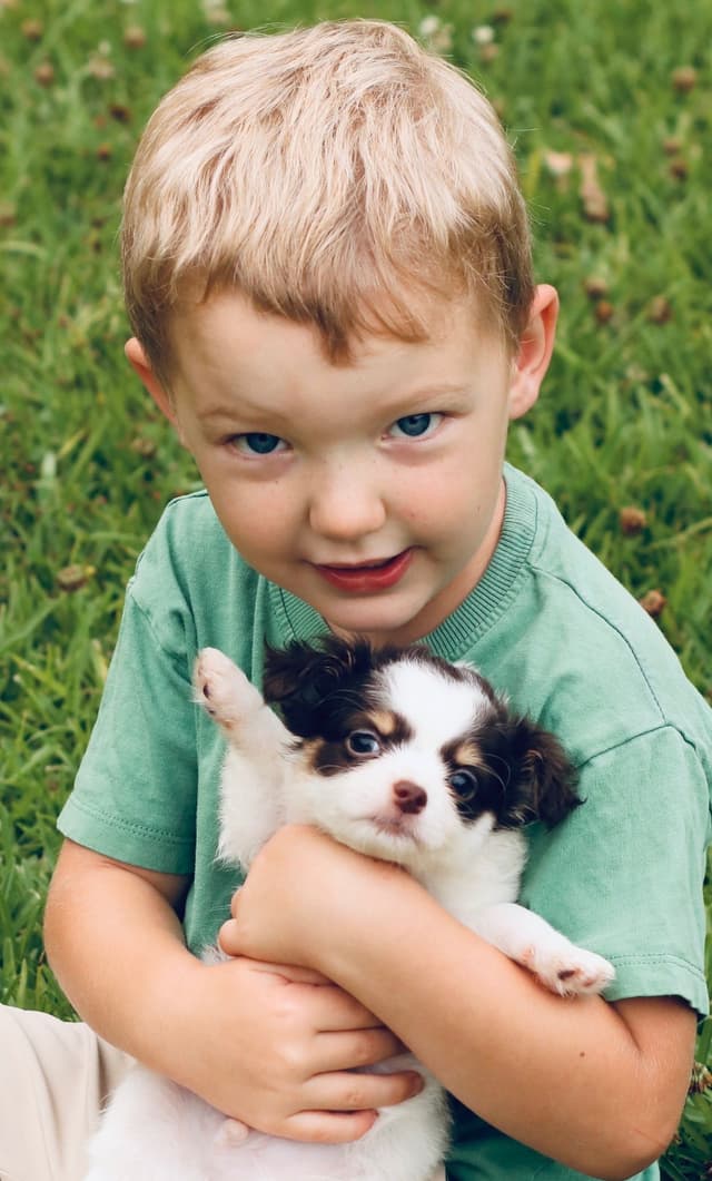 One puppy left! Long coat, male black spotted on white media 7