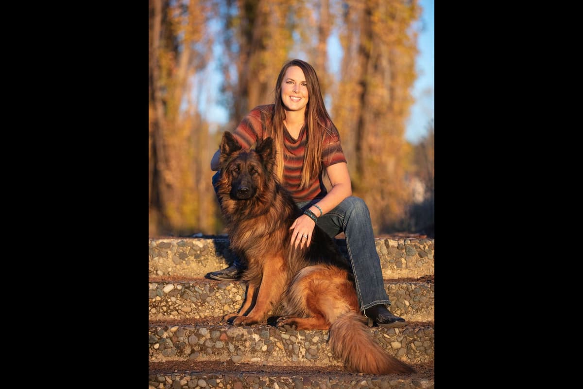 German Shepherd Dog Puppies breeder image 1