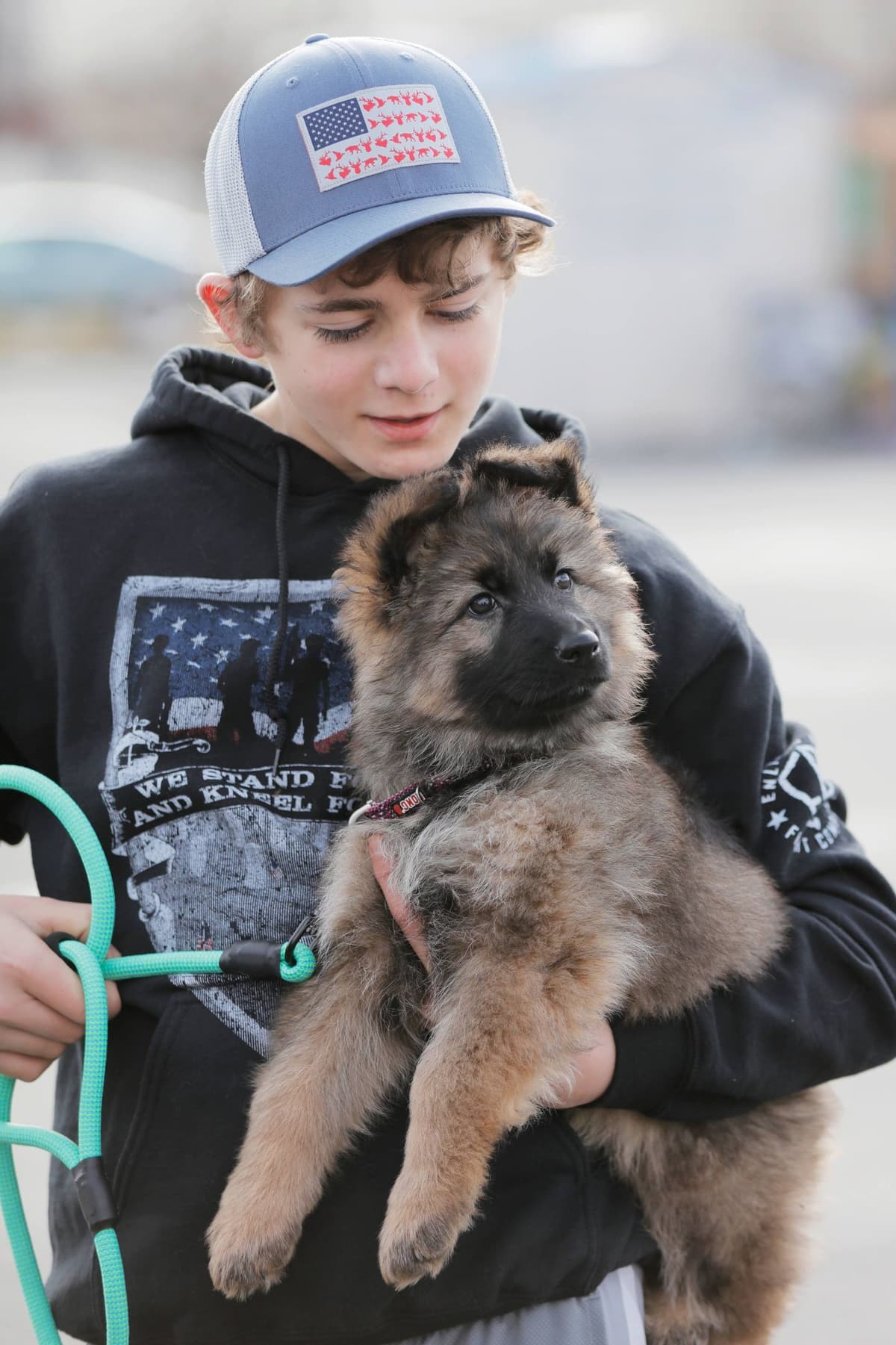 German Shepherd Dog Puppies breeder image 5