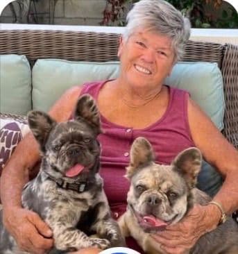 French Bulldog Puppies Fluffy media 6
