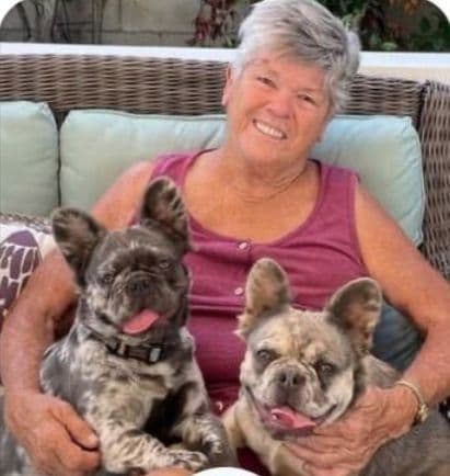 French Bulldog Puppies Fluffy breeder image 1