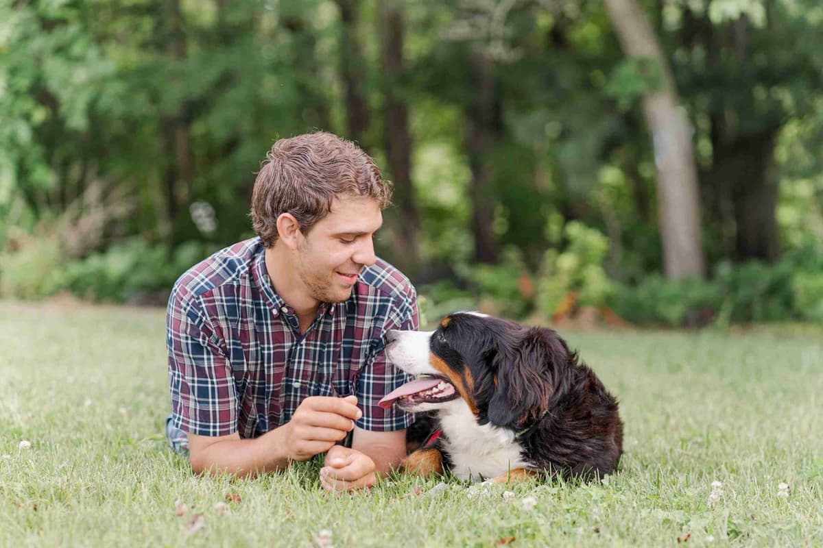 Bernese Mountain Dog Puppies breeder image 1
