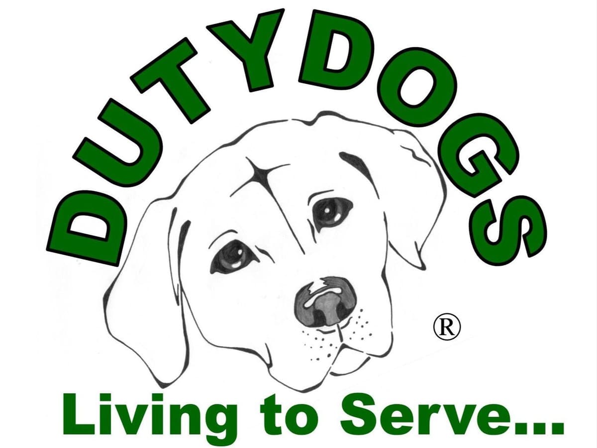 English Labrador Puppies- Obedience Trained breeder image 1