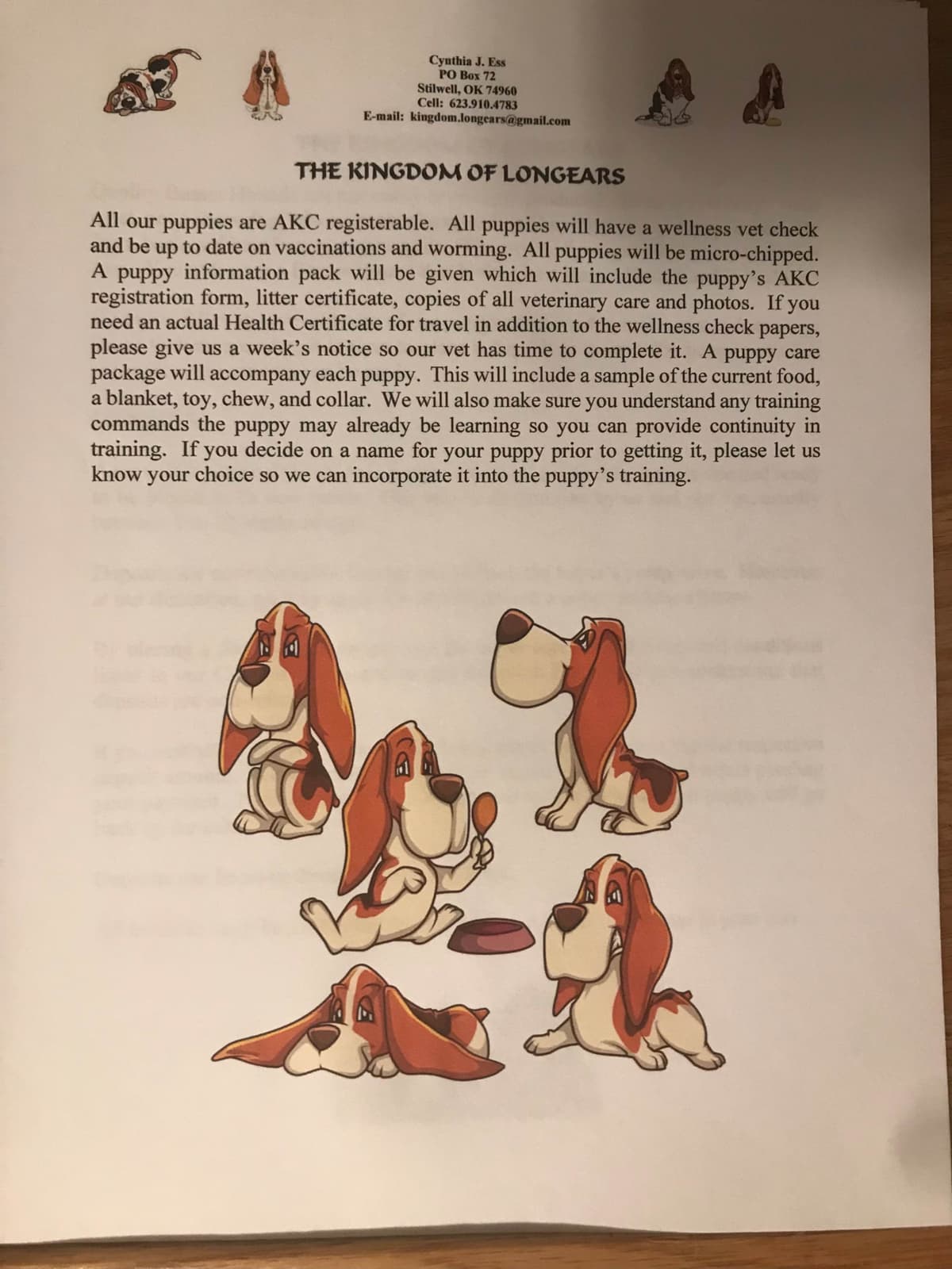 Basset Hound Puppies breeder image 2