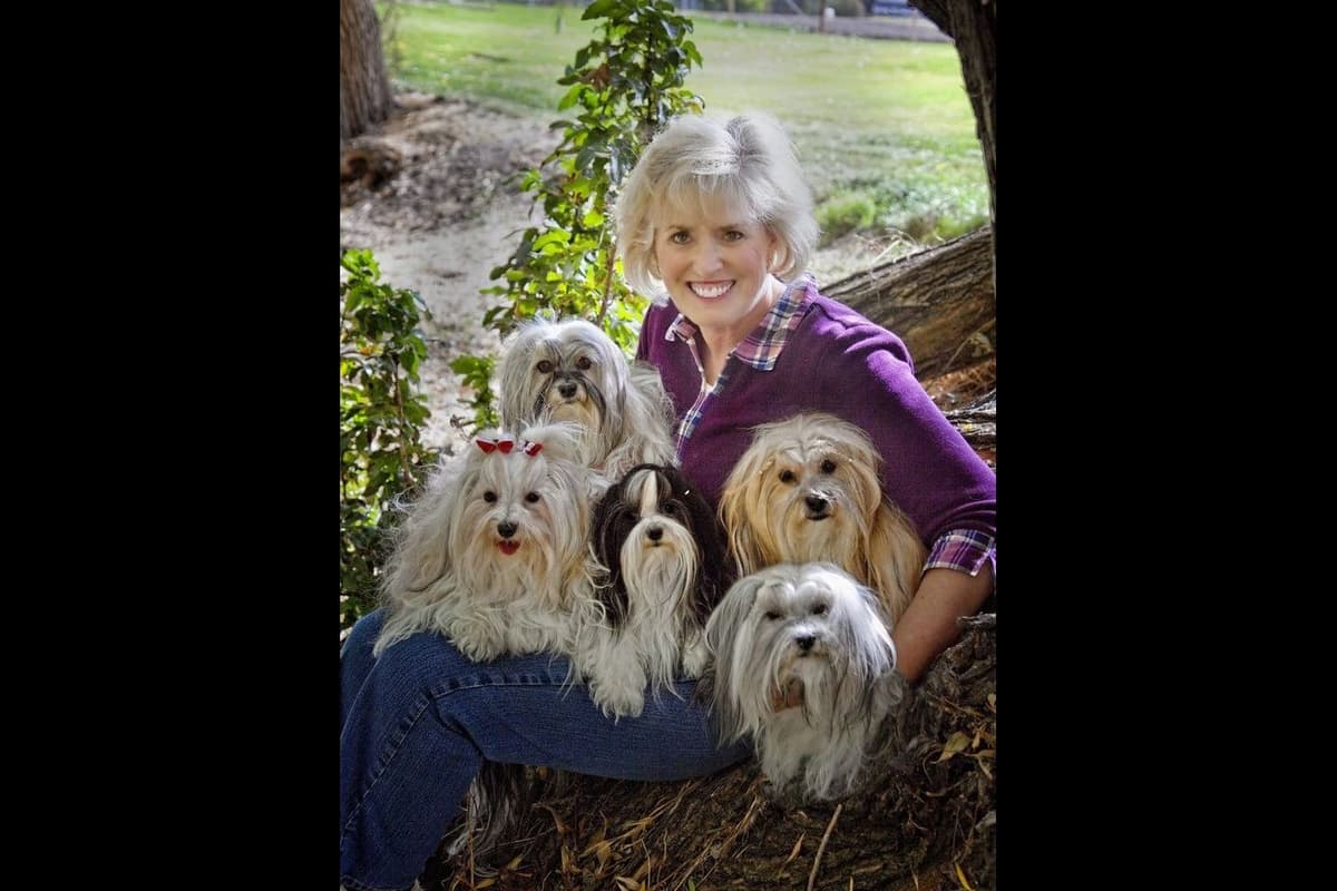 Havanese Puppies breeder image 1