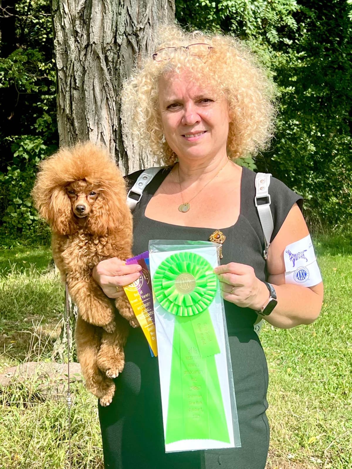 Anastasia Toy Poodles puppies 347-754-2345 breeder image 17