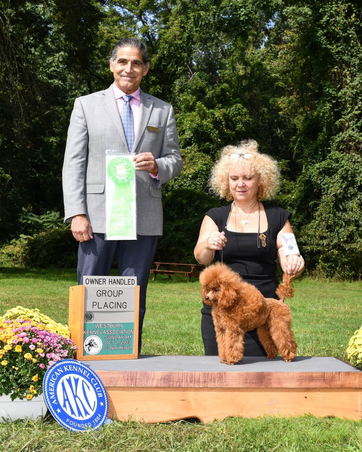 Anastasia Toy Poodles puppies 347-754-2345 breeder image 16