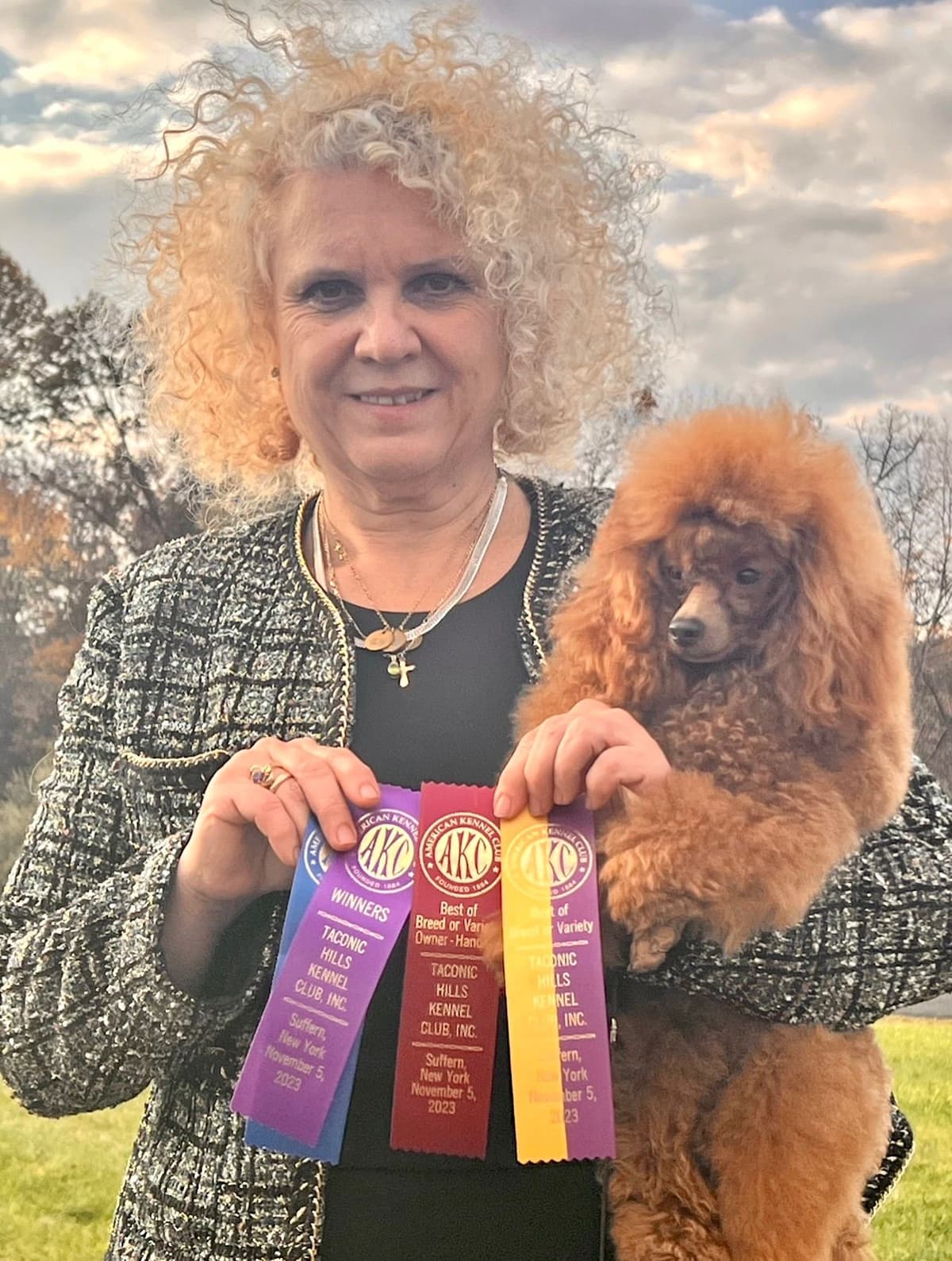 Anastasia Toy Poodles puppies 347-754-2345 breeder image 22
