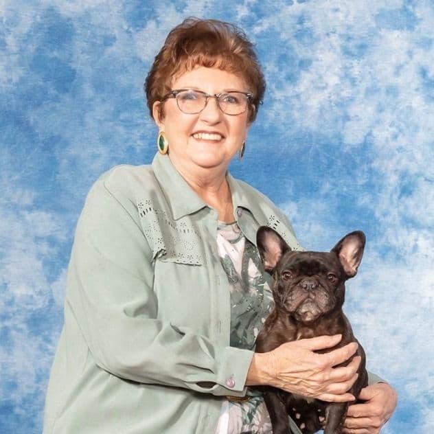 French Bulldog Puppies -Champion Sire breeder image 8
