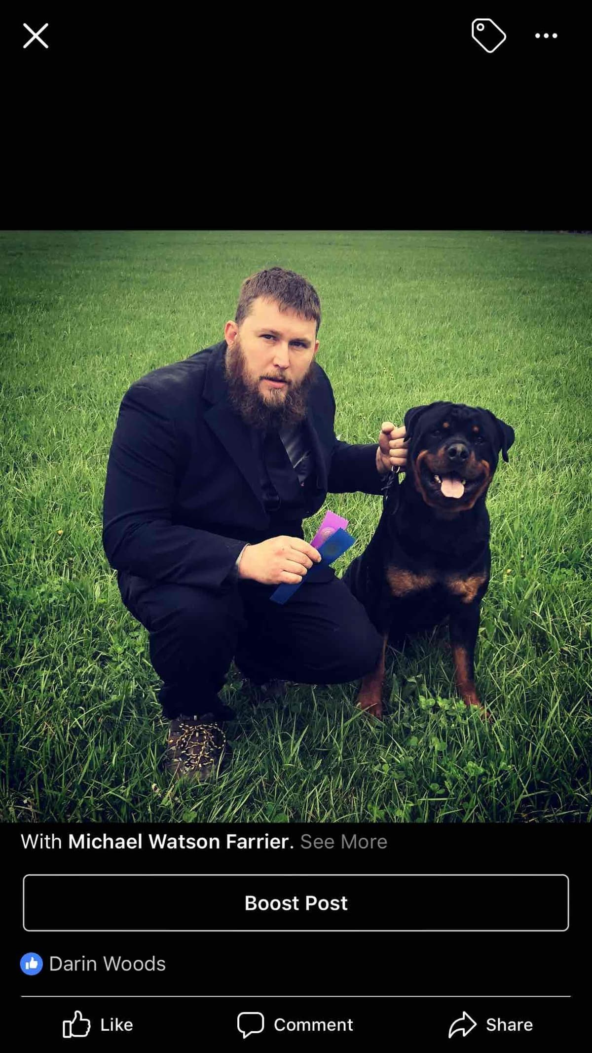 Rottweiler Puppies breeder image 3