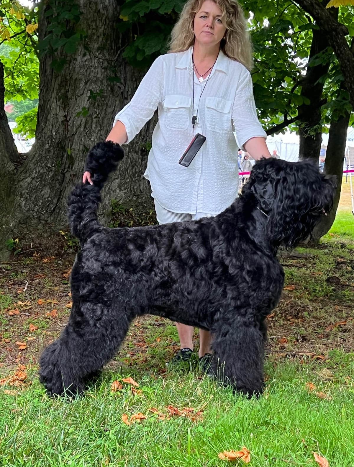 Black Russian Terrier Puppies breeder image 9