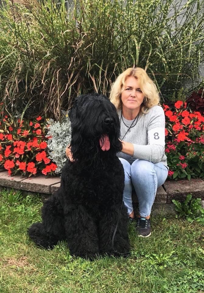 Black Russian Terrier Puppies breeder image 15