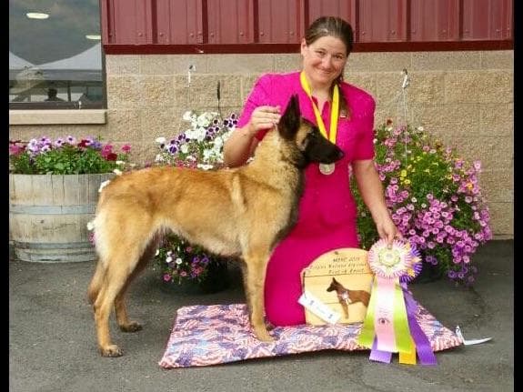 Belgian Malinois Puppies breeder image 3