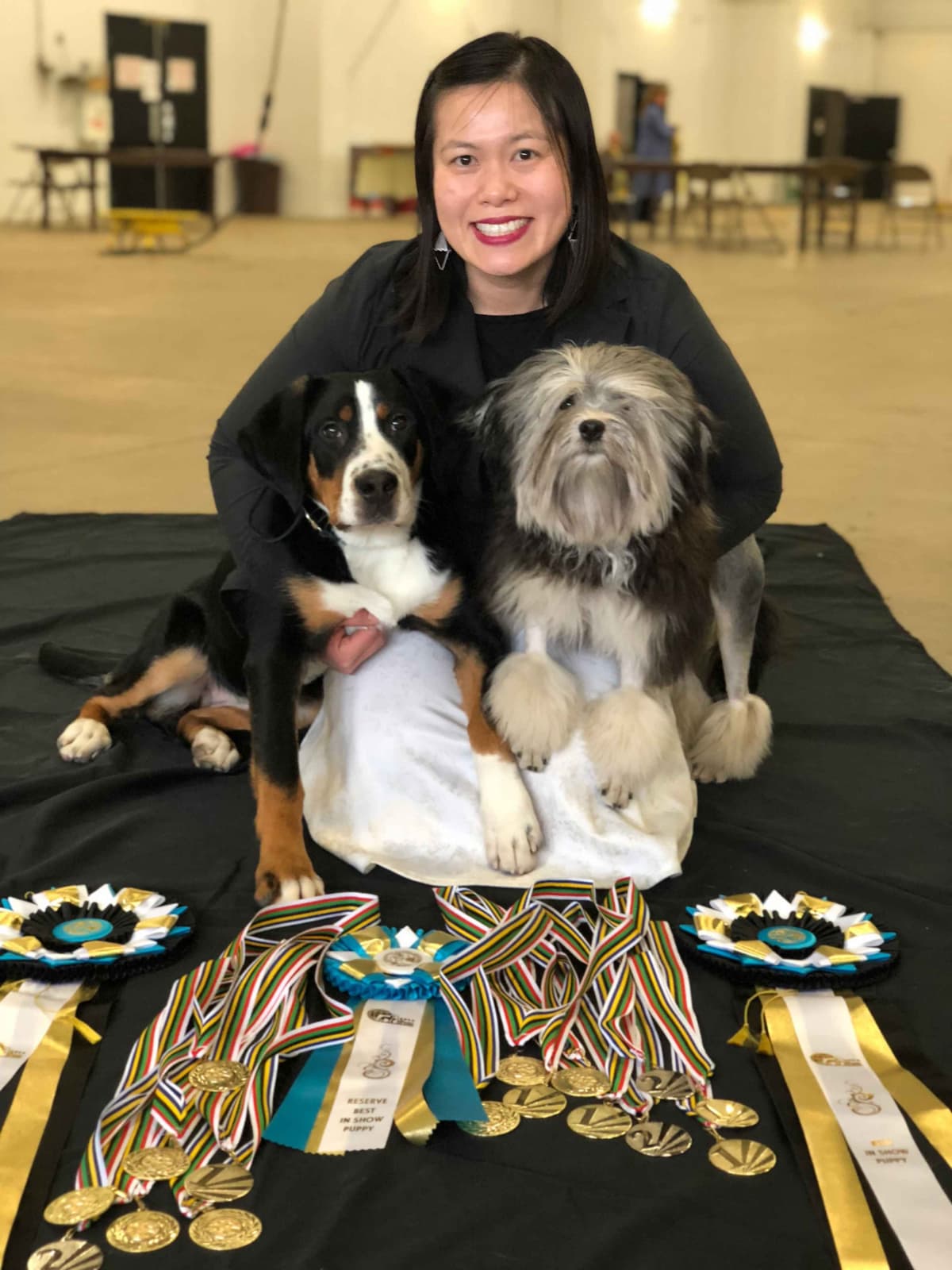 Greater Swiss Puppies raised on advanced training and socialization breeder image 22