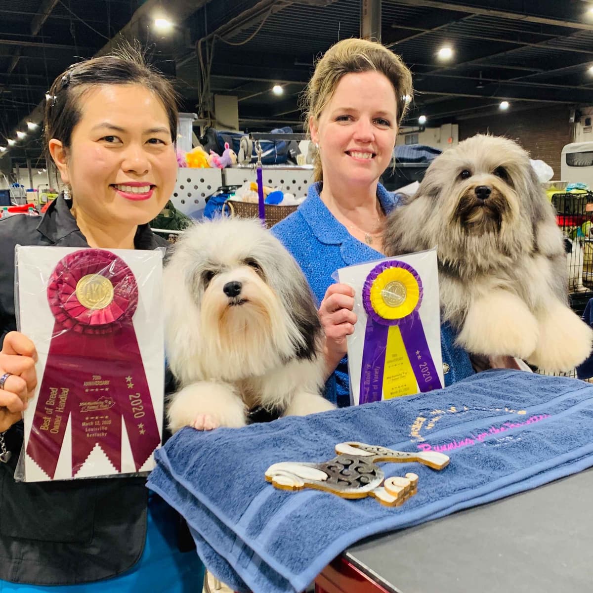Greater Swiss Puppies raised on advanced training and socialization breeder image 56