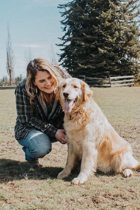 Golden Retriever Puppies breeder image 1