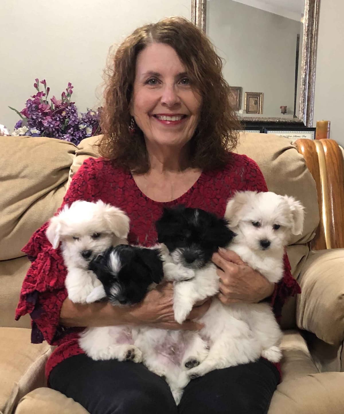 Kingdom View Cotons breeder image 9