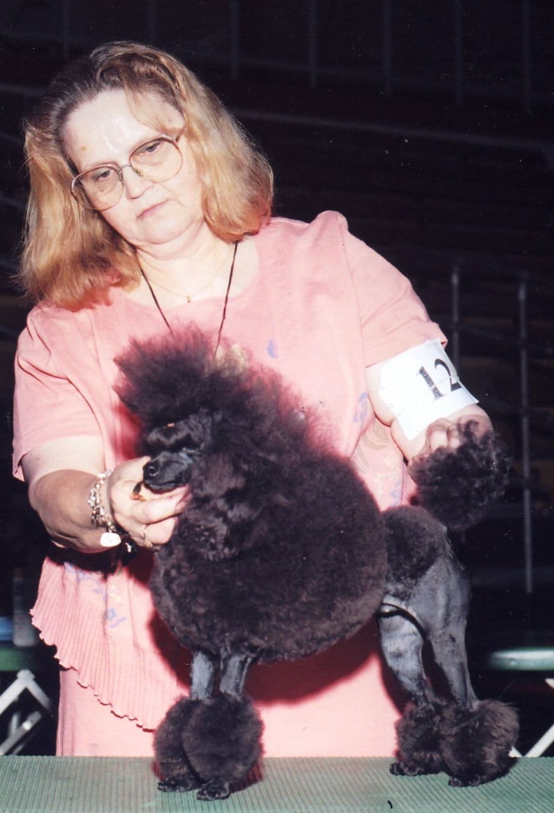 Poodle Puppies breeder image 1