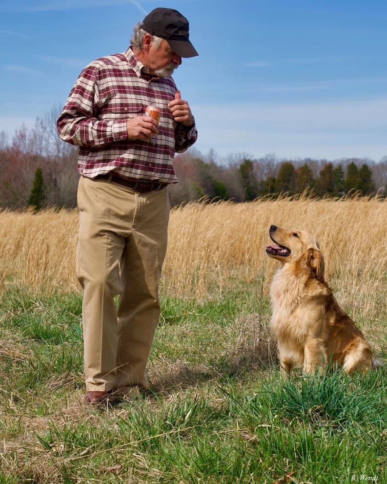 Golden Retriever Puppies breeder image 5
