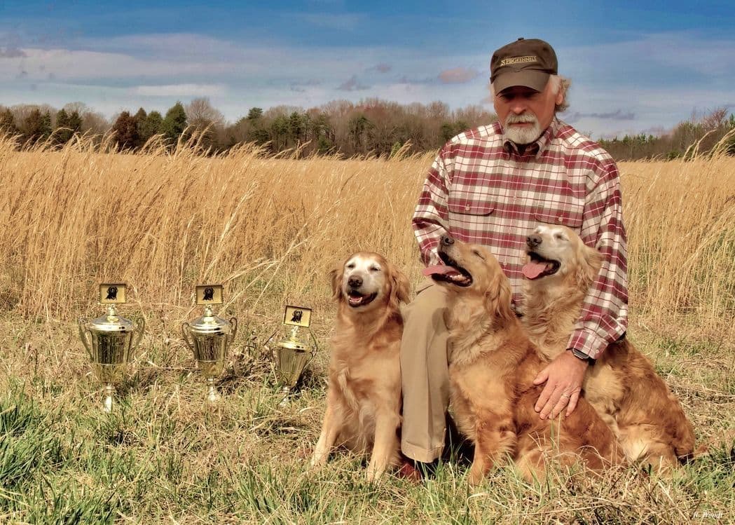 Golden Retriever Puppies breeder image 12