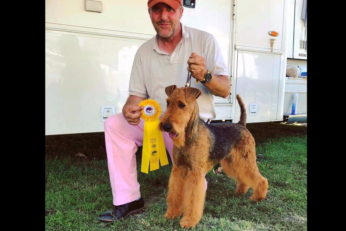 Mar Vista Airedales in Southern. California breeder image 10