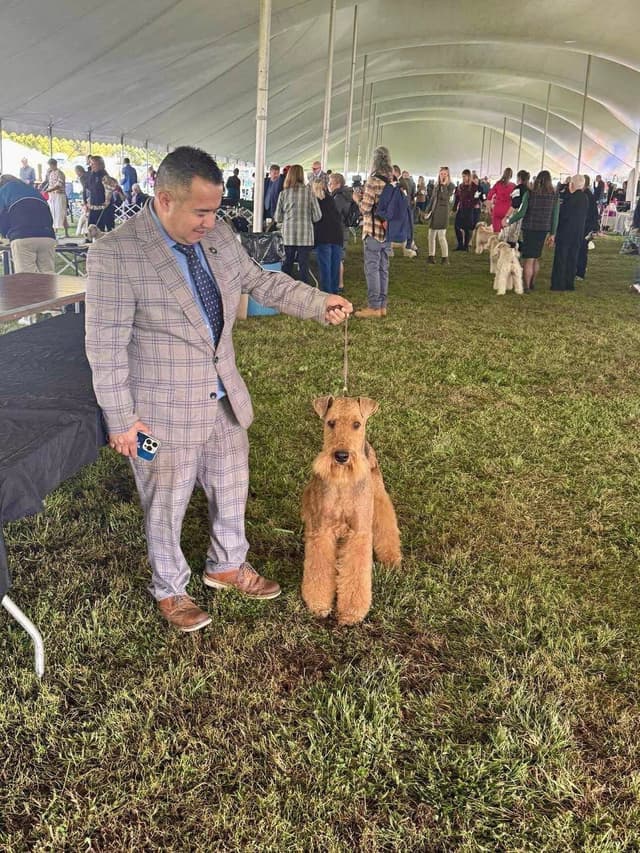 Mar Vista Airedales in Southern. California media 5