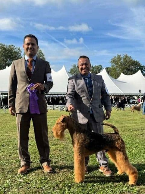 Mar Vista Airedales in Southern. California media 7