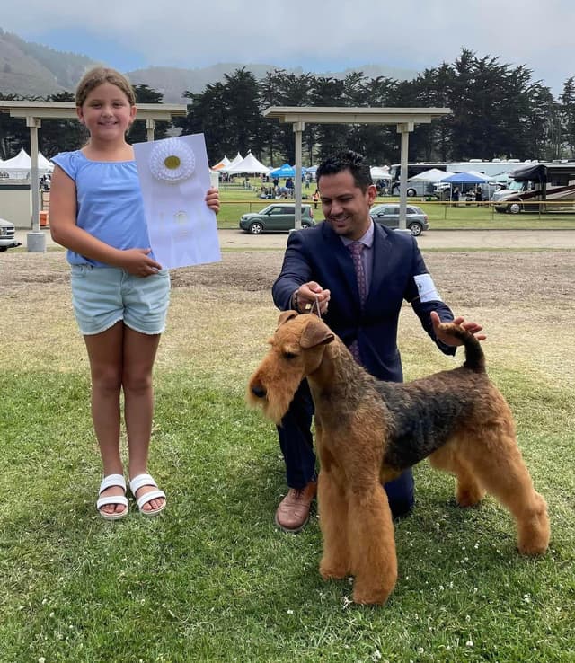 Mar Vista Airedales in Southern. California media 12